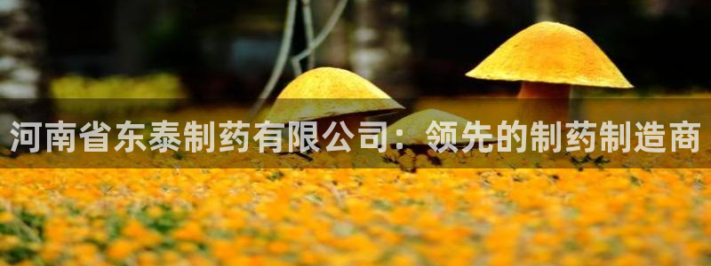 老哥俱乐部是干什么的啊：河南省东泰制药有限公司：领先的制药制造商