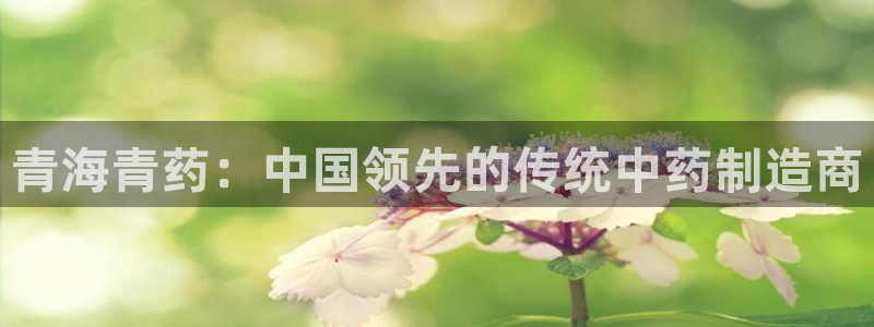 ag九游老哥俱乐部：青海青药：中国领先的传统中药制造商