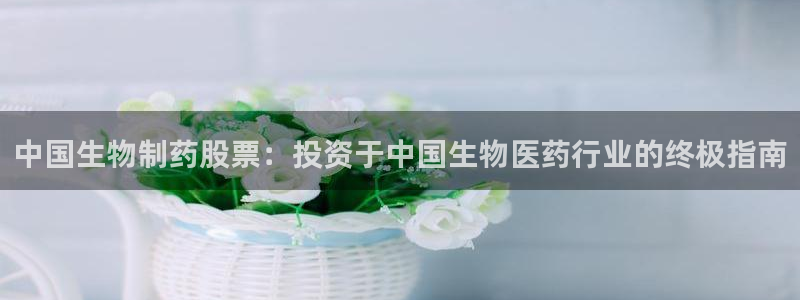 九游会老哥俱乐部官网首页论坛：中国生物制药股票：投资于中国生物医药行业的终极指南