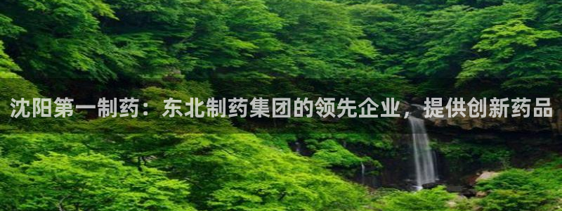 九游会老哥俱乐部官网首页：沈阳第一制药：东北制药集团的领先企业，提供创新药品