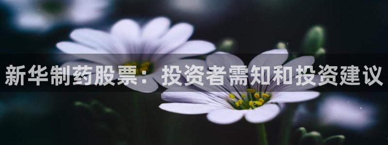 九游会老哥俱乐部社区论坛：新华制药股票：投资者需知和投资建议