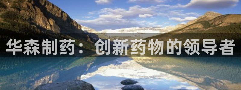 ag九游会老哥俱乐部：华森制药：创新药物的领导者