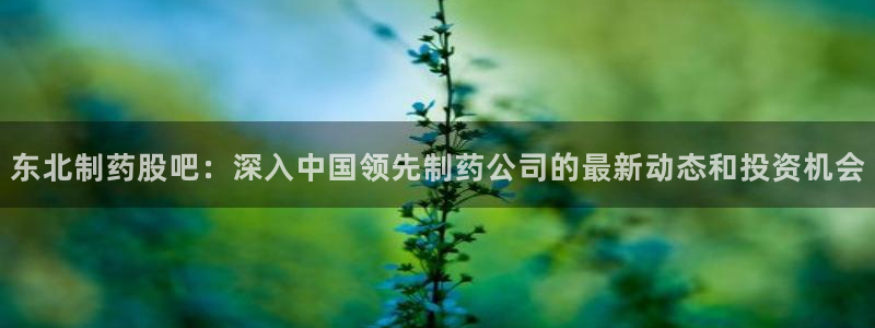 usdt九游会老哥俱乐部：东北制药股吧：深入中国领先制药公司的最新动态和投资机会