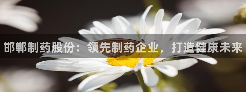 老哥俱乐部是干什么的啊：邯郸制药股份：领先制药企业，打造健康未来