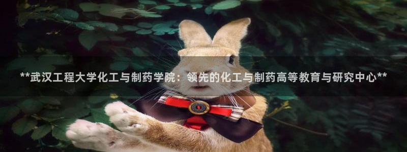 九游会老哥必备的交流社区：**武汉工程大学化工与制药学院：领先的化工与制药高等教育与研究中心**