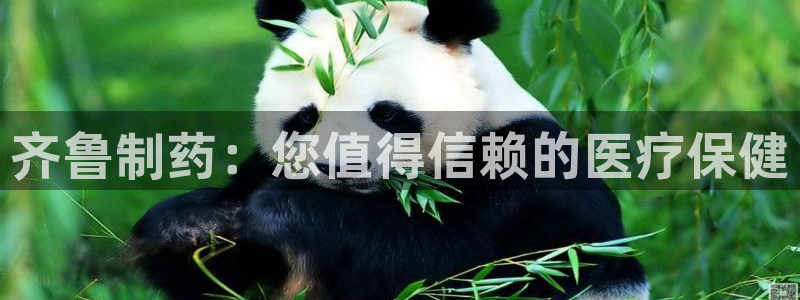 老哥吧九游会：齐鲁制药：您值得信赖的医疗保健