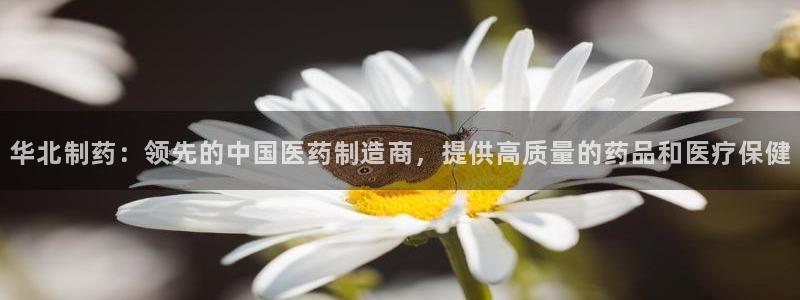 9游会老哥俱乐部：华北制药：领先的中国医药制造商，提供高质量的药品和医疗保健