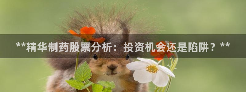 九游老哥俱乐部官网登录不了：**精华制药股票分析：投资机会还是陷阱？**