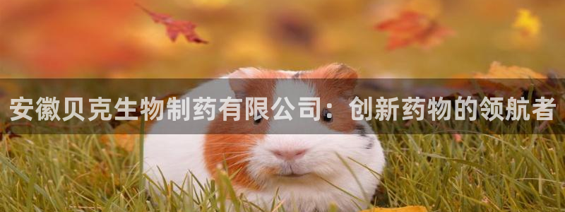 j9九游会老哥俱乐部交流区：安徽贝克生物制药有限公司：创新药物的领航者