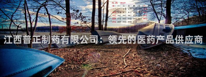 九游会老哥：江西普正制药有限公司：领先的医药产品供应商