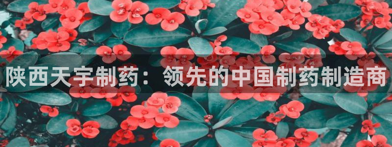 ag九游会老哥俱乐部：陕西天宇制药：领先的中国制药制造商