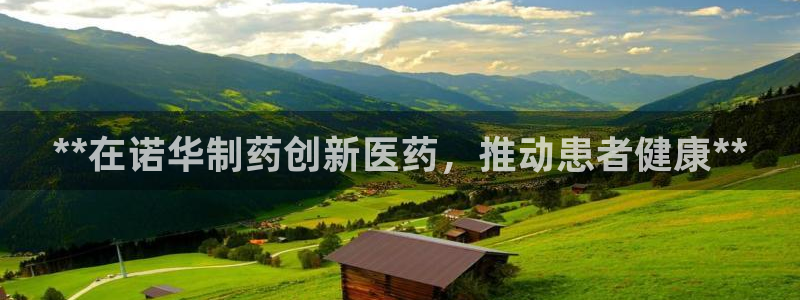 老哥俱乐部是干什么的：**在诺华制药创新医药，推动患者健康**