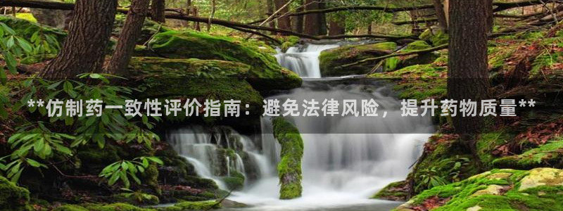 九游会老哥必备的交流社区：**仿制药一致性评价指南：避免法律风险，提升药物质量**