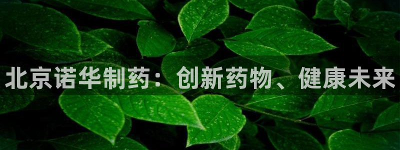 九游会老哥俱乐部交流社区：北京诺华制药：创新药物、健康未来