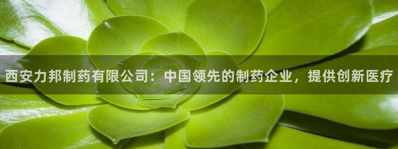 九游会老哥俱乐部官网首页论坛：西安力邦制药有限公司：中国领先的制药企业，提供创新医疗