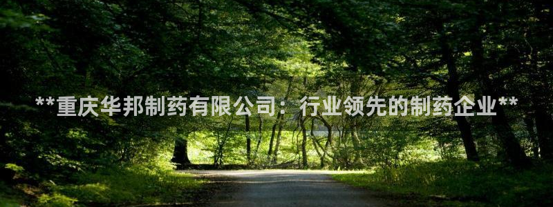 九游会老哥俱乐部官网：**重庆华邦制药有限公司：行业领先的制药企业**