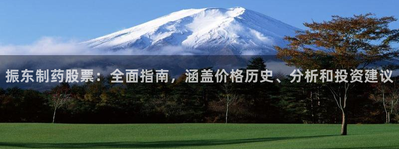 9游会老哥：振东制药股票：全面指南，涵盖价格历史、分析和投资建议