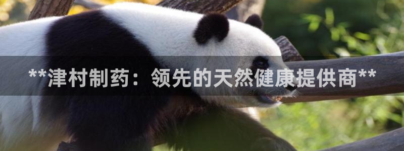 九游会老哥：**津村制药：领先的天然健康提供商**