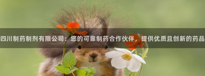 9游会老哥俱乐部：四川制药制剂有限公司：您的可靠制药合作伙伴，提供优质且创新的药品