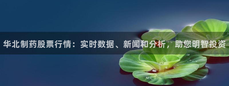 九游会老哥：华北制药股票行情：实时数据、新闻和分析，助您明智投资
