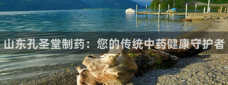 ag九游老哥俱乐部：山东孔圣堂制药：您的传统中药健康守护者
