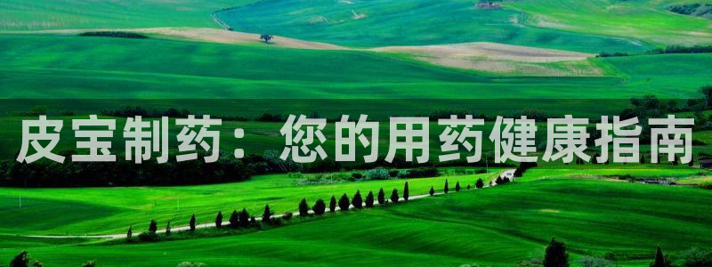老哥吧九游会：皮宝制药：您的用药健康指南