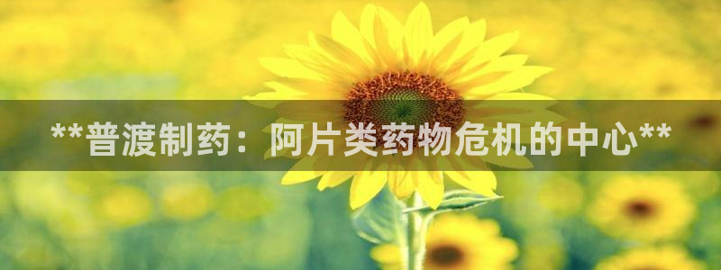 九游老哥俱乐部官网登录入口：**普渡制药：阿片类药物危机的中心**