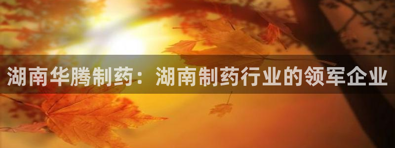 九游老哥俱乐部登录：湖南华腾制药：湖南制药行业的领军企业
