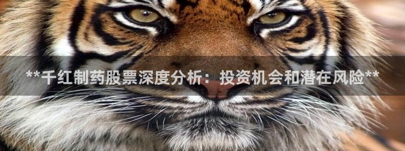 九游会老哥俱乐部官网首页论坛：**千红制药股票深度分析：投资机会和潜在风险**