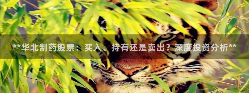 九游老哥俱乐部登录：**华北制药股票：买入、持有还是卖出？深度投资分析**