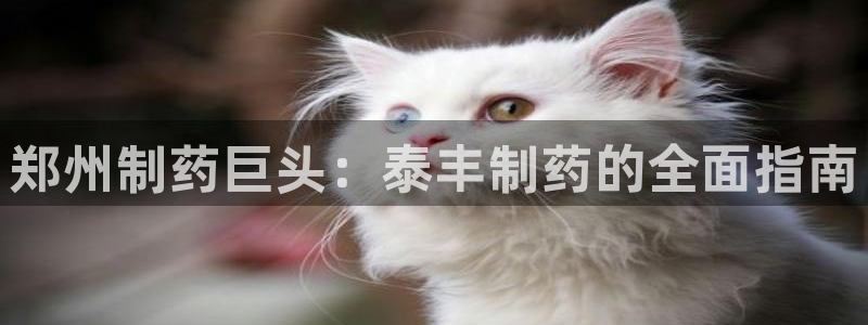九游会老哥必备的交流社区九：郑州制药巨头：泰丰制药的全面指南