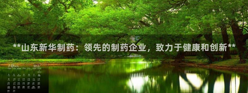 九游会老哥：**山东新华制药：领先的制药企业，致力于健康和创新**
