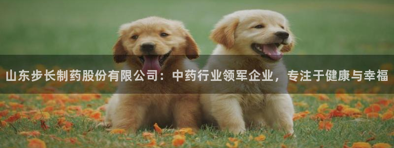 九游会老哥俱乐部必备的交流社区：山东步长制药股份有限公司：中药行业领军企业，专注于健康与幸福