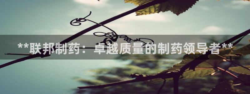 9游会老哥：**联邦制药：卓越质量的制药领导者**