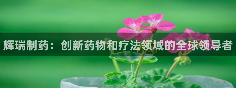 九游老哥俱乐部登录：辉瑞制药：创新药物和疗法领域的全球领导者