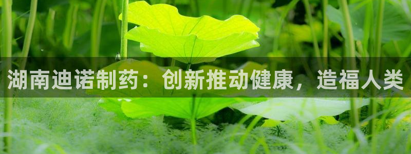 九游会老哥俱乐部交流社区：湖南迪诺制药：创新推动健康，造福人类