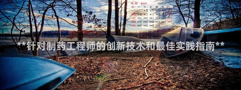 老哥俱乐部是干什么的啊：**针对制药工程师的创新技术和最佳实践指南**