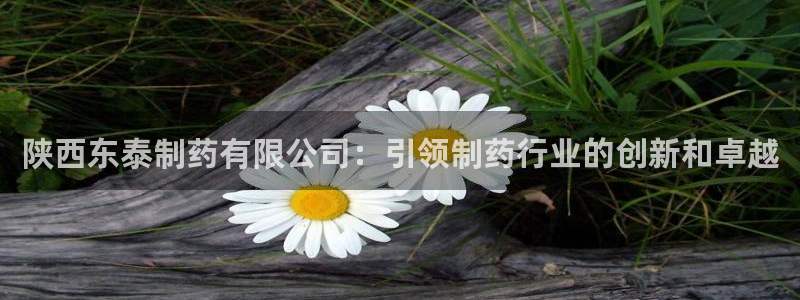 ag九游会老哥俱乐部：陕西东泰制药有限公司：引领制药行业的创新和卓越