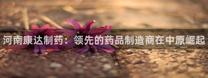 九游会老哥俱乐部官网首页