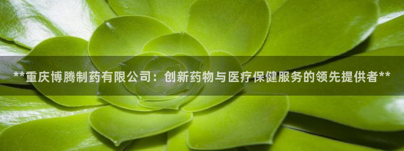 ag九游老哥俱乐部：**重庆博腾制药有限公司：创新药物与医疗保健服务的领先提供者**