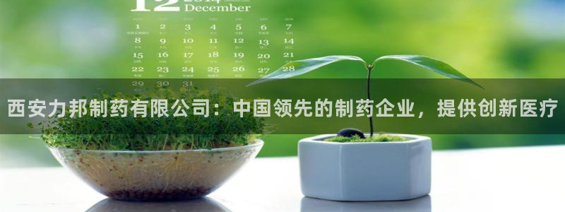 9游会老哥：西安力邦制药有限公司：中国领先的制药企业，提供创新医疗