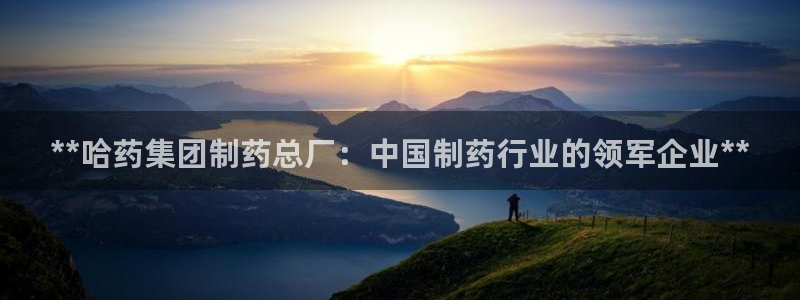 9游会老哥：**哈药集团制药总厂：中国制药行业的领军企业**