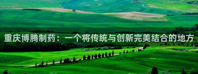 九游老哥俱乐部官网登录入口：重庆博腾制药：一个将传统与创新完美结合的地方