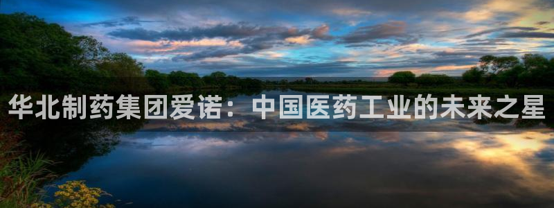 老哥吧九游会下架吗：华北制药集团爱诺：中国医药工业的未来之星