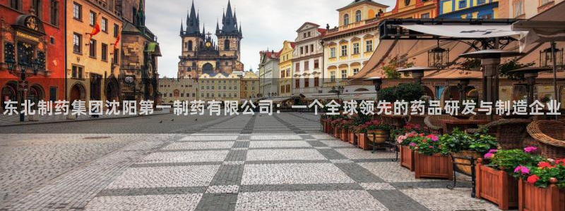 老哥吧九游会：东北制药集团沈阳第一制药有限公司：一个全球领先的药品研发与制造企业