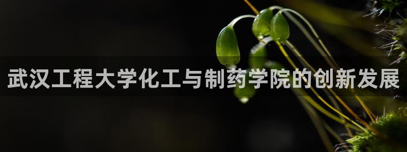 九游会老哥俱乐部官网首页