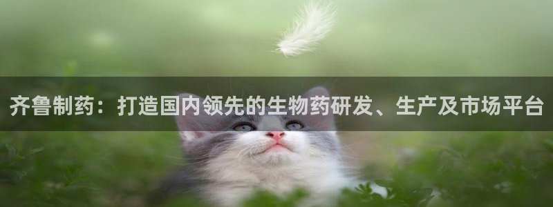 九游老哥俱乐部官网登录不了：齐鲁制药：打造国内领先的生物药研发、生产及市场平台