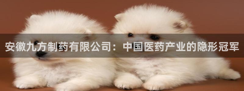 九游老哥俱乐部官网登录：安徽九方制药有限公司：中国医药产业的隐形冠军