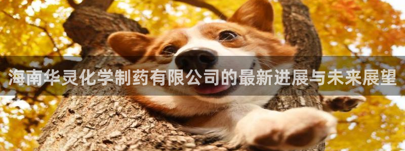 九游老哥俱乐部官网登录网址：海南华灵化学制药有限公司的最新进展与未来展望