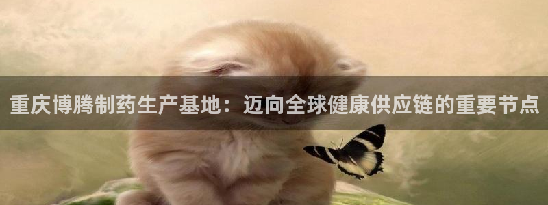 老哥俱乐部是干什么的：重庆博腾制药生产基地：迈向全球健康供应链的重要节点